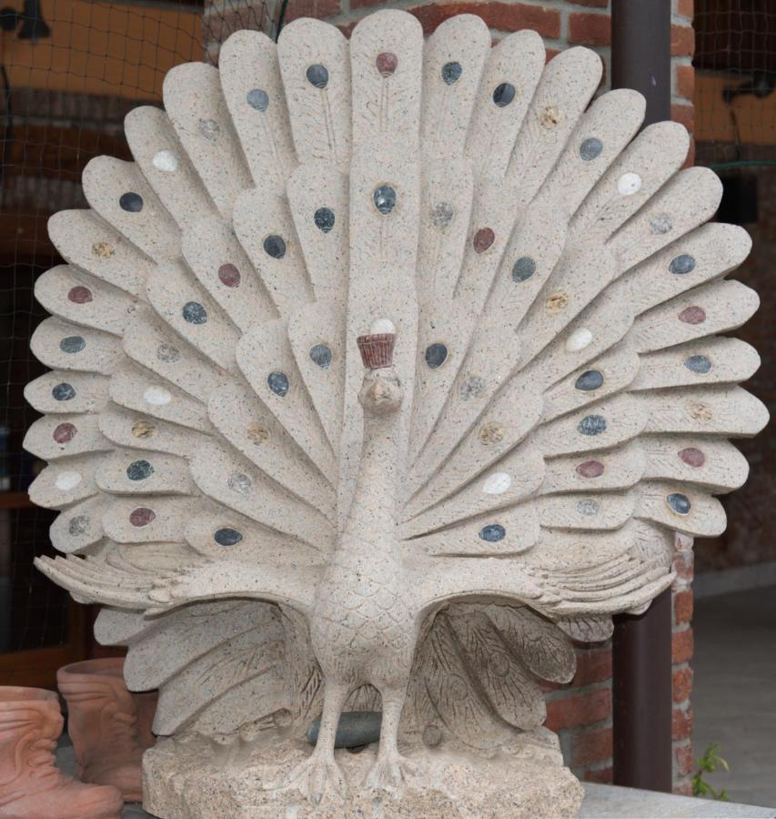 Antica Cascina B&B Borghetto Lodigiano ภายนอก รูปภาพ